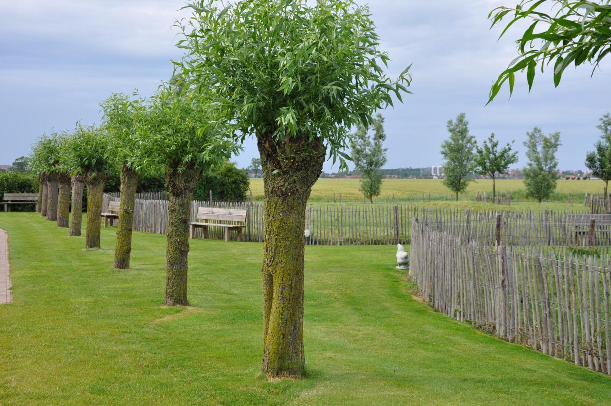 B&B Knotwilgenhoeve Knokke-Heist Luaran gambar